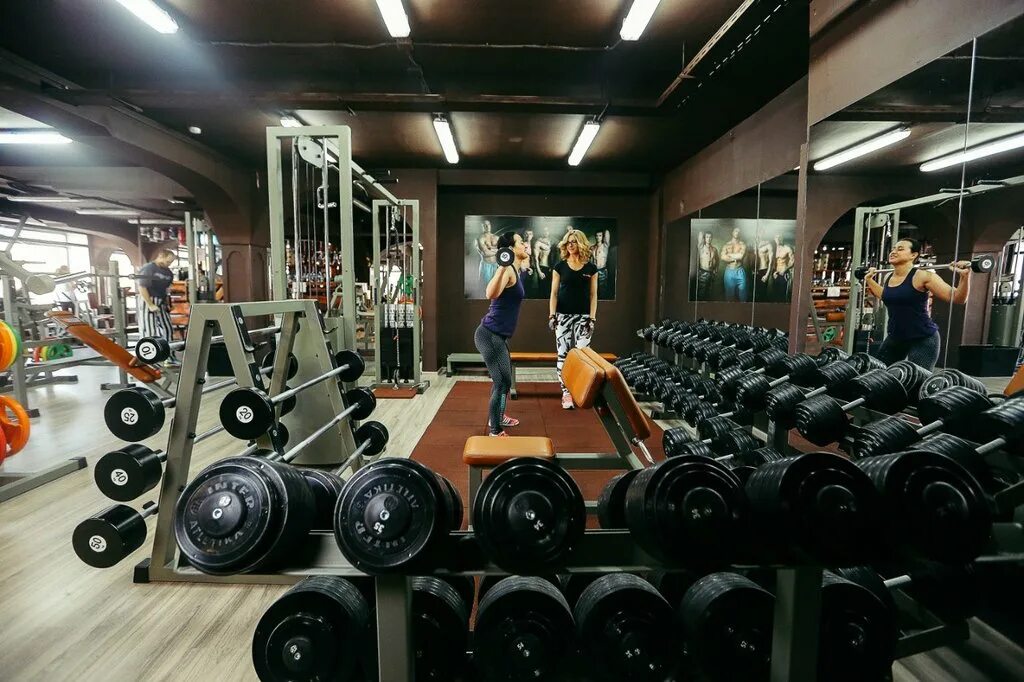 качалка нижний новгород. Solofit качалка. новый спортивный зал качалка. качалка нижний новгород. качалка спортзал.