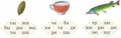 Звуки жи