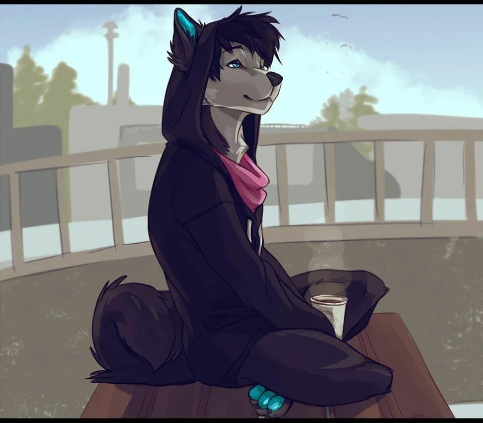 Движение фурри что такое. Furry wereshiba. фурри парни в кофте. фурии в кофте. фурри волки в толстовке.