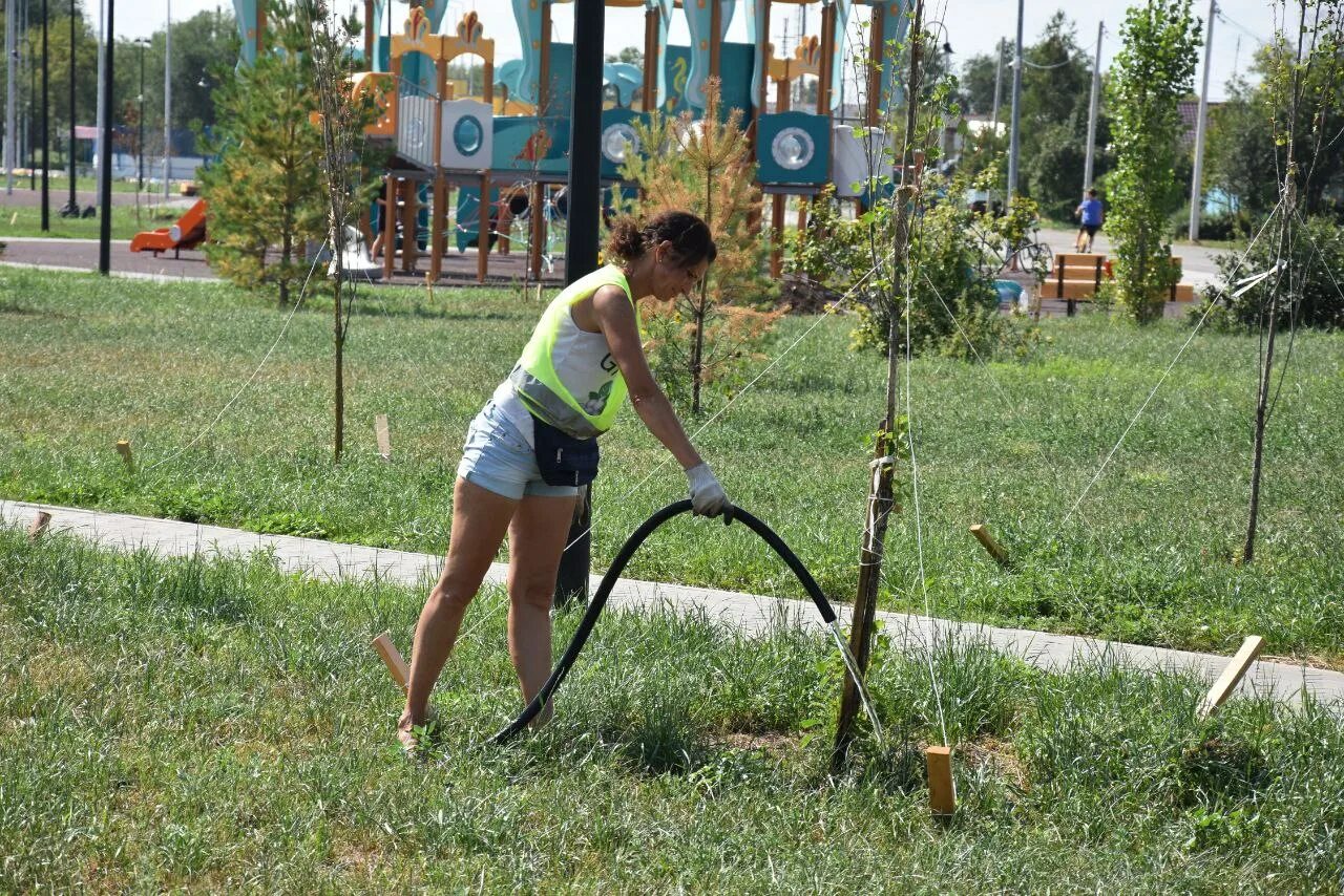 Южный выполнять. Машина для полива городских зеленых насаждений. Тумба для полива зеленых насаждений. Обводнение в парках. Скверы проекты в поселке.