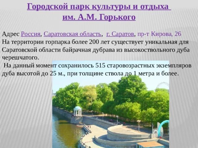 Сообщение о парке. Парк гафури уфа ссср. Сочинение на тему парк. Описание городского парка. Городской парк описание.