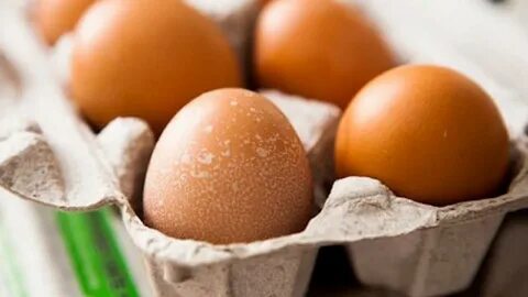 Your egg