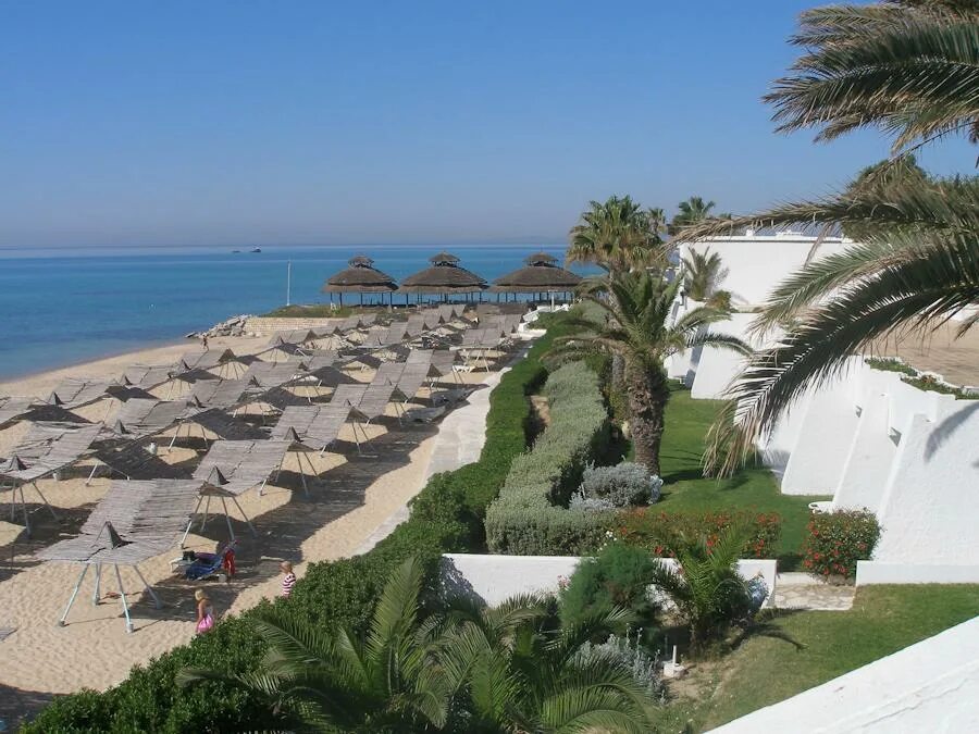Novostar bel azur thalassa & bungalows. Джерба отель палм азур туры. Новостар бель азур хаммамет. Соль азур тунис хаммамет новостар. Новостар бель азур талассо.