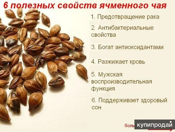 Ячмень польза для организма. Полезные крупы. Полезные свойства ячменя. Польза ячменя для организма человека. Ячмень польза для человека.