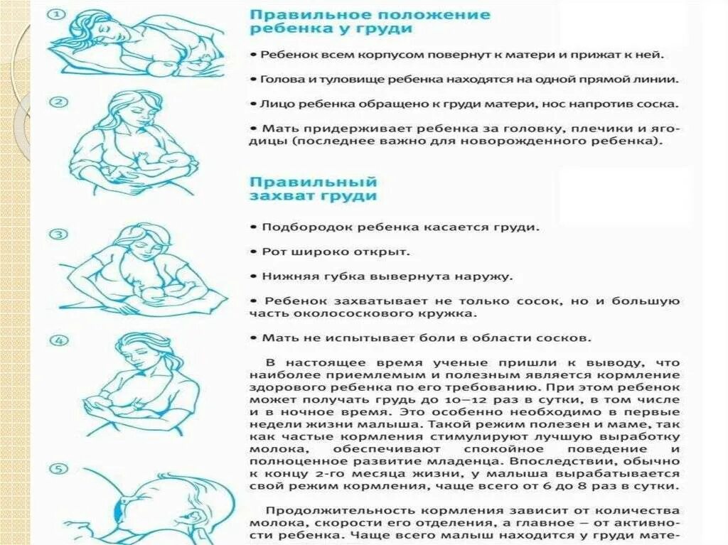 Как правильно кормить ребенка грудным молоком. Техника грудного вскармливания новорожденного алгоритм действий. алгоритм кормления ребенка 1 месяц. техника кормления грудью. техника правильного кормления.