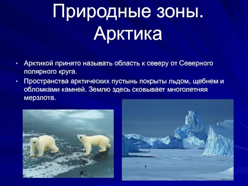 Полярные природные особенности. Природная зона арктических пустынь. Природные зоны России зона арктических пустынь. Природные зоны России арктические пустыни. Арктика зона арктических пустынь.