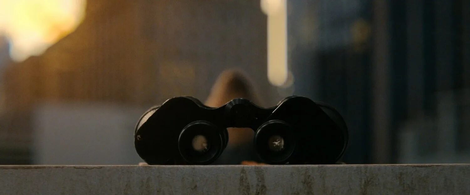 вуайзер 2021. вуайеристы майкла мохана. вуайеристы майкла мохана. фильм вуайеристы (сша, 2021). вуайеристы / the voyeurs 2021, майкл мохан.