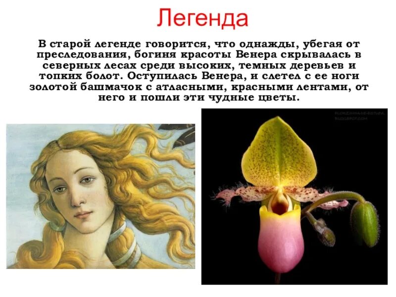 О чем рассказывалось в мифах. Миф говориться. Мифология народов россии конспект урока 5 класс. Миф говориться. Древнегреческий миф о гармонии.