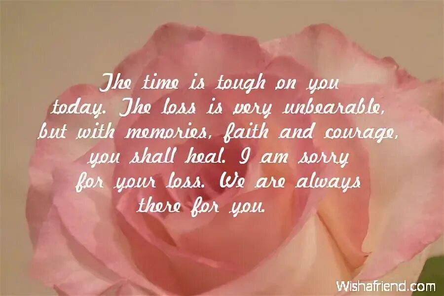 Take Care of your Health. Take Care of yourself and be healthy. Take Care of yourself please. Wish you be healthy. Take care and be good