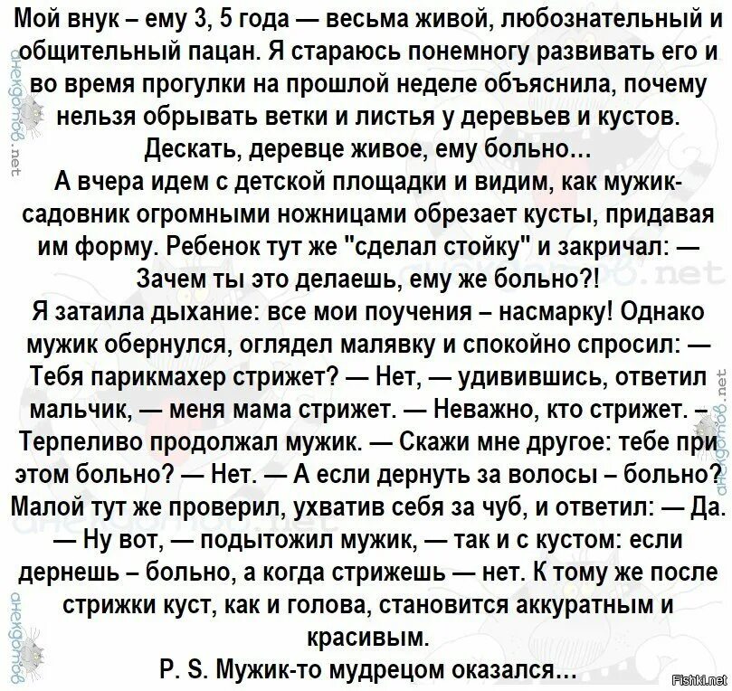 Спокойно спрашивать. Лучшие анекдоты всех времен. Лучшие анекдоты. Лучшие анекдоты 2018. Лучшие анекдоты всех времен и народов.