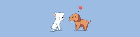 Парные обои котиков