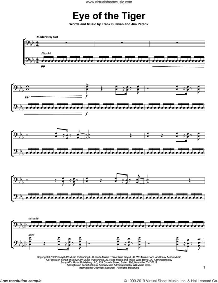 Музыка tiger eyes. Tiger eyes. Eye of the tiger ноты. Музыка tiger eyes. Survivor eye of the tiger ноты.