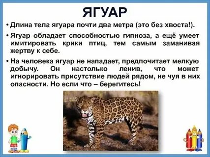 Познавательный текст