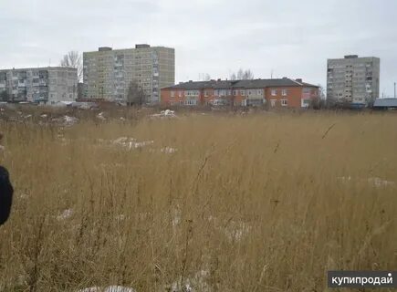 Товарковский тульская область
