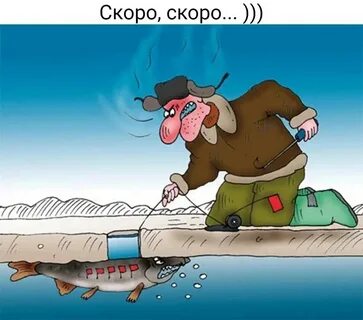 День зимней рыбалки картинки прикольные