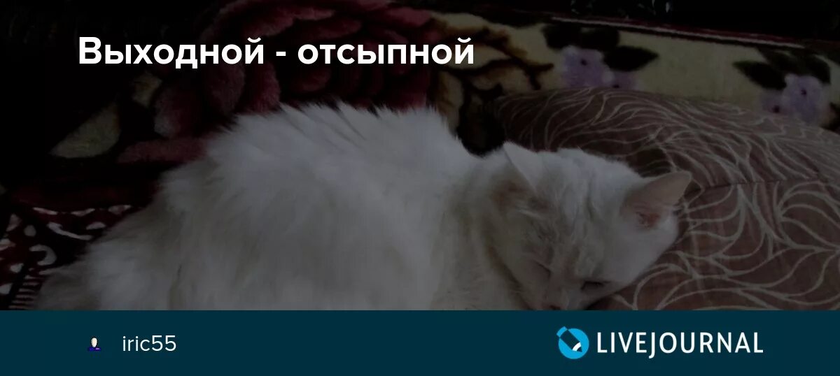 Отсыпной. Сонное утро. Отсыпной. Камаз навоз песок пгс. У меня выходной.