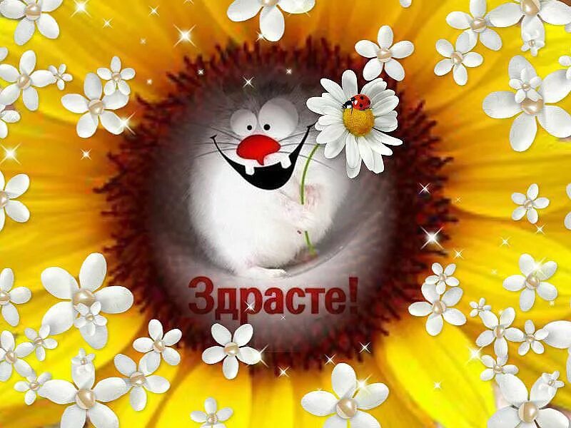 Я пришла хорошего дня