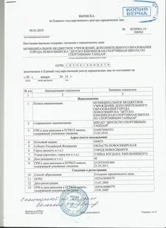 Получить электронную выписку егрюл
