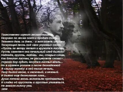 Снова торжественно шумит