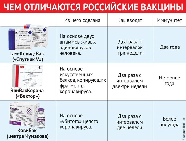 Через какие органы и ткани вакцина поступает. Вакцинация против ковид 19. По медицинским полисам можно отследить прививку от Ковида.