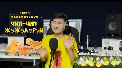 Чипа чип концерты