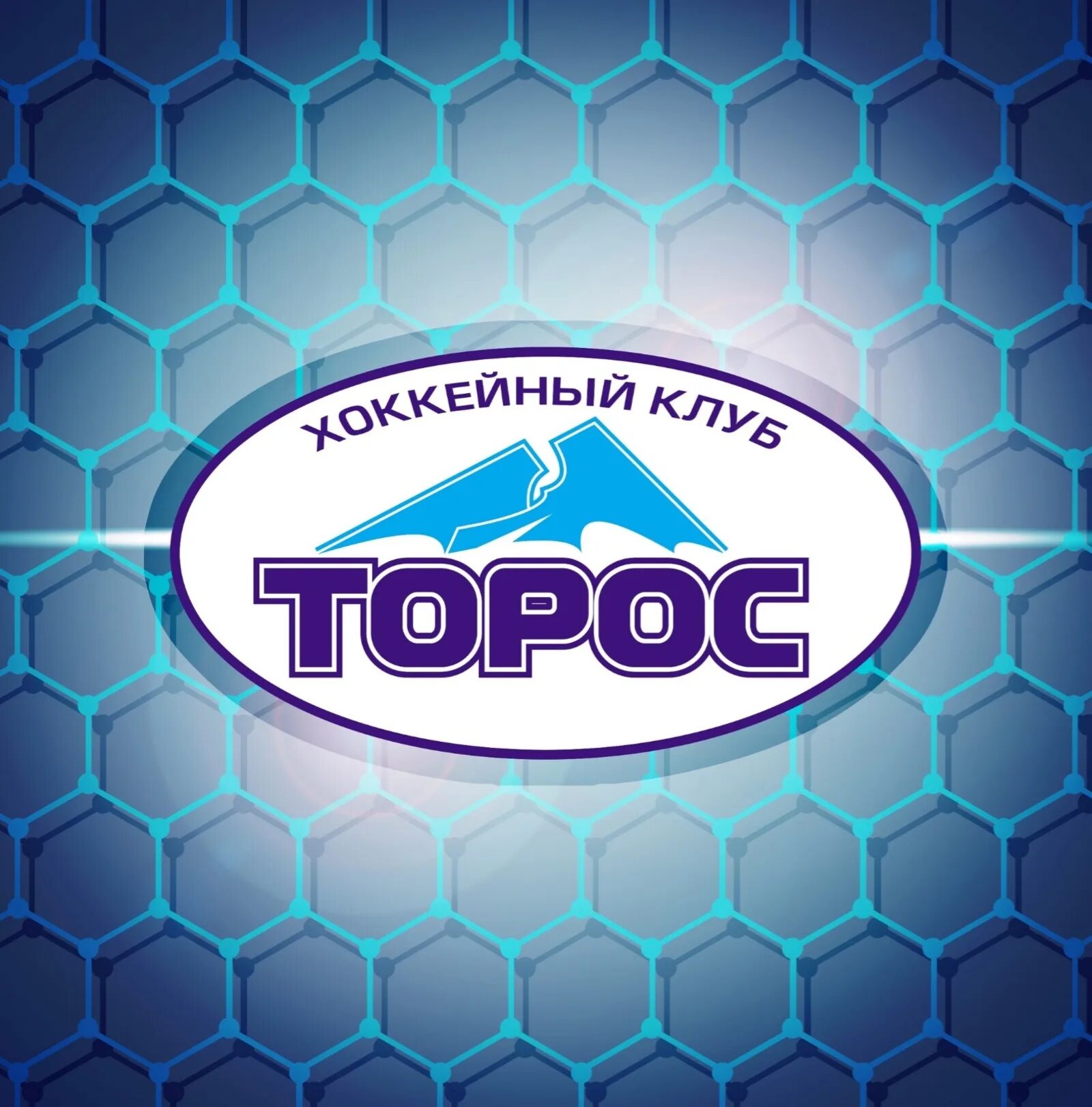Нефтекамск хк. Торос хоккейный клуб Нефтекамск. Хк Торос лого. Хоккей Торос Нефтекамск. Логотип Торос хоккейный клуб.