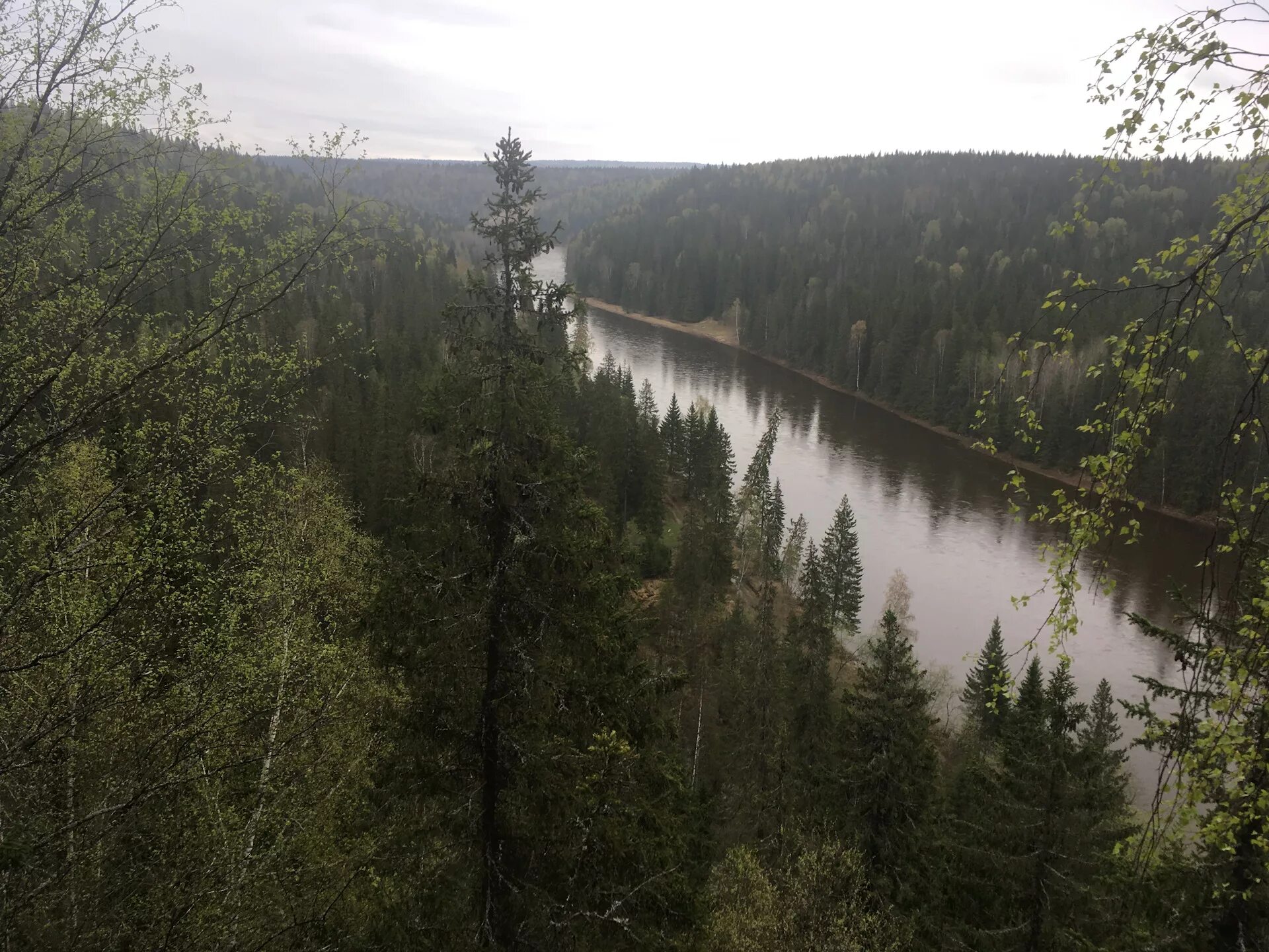 Каменные столбы усьва пермский край. Река язьва. Тайга северного урала. Усьвинские столбы пермский край. Койва пермский край.