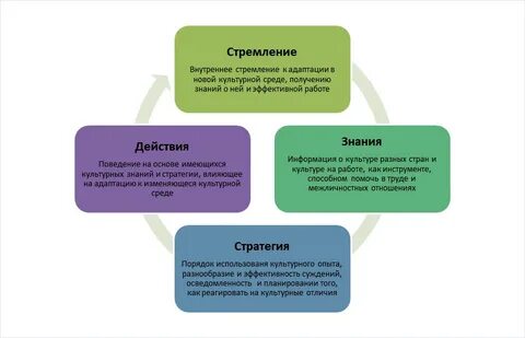 Культурная компетентность