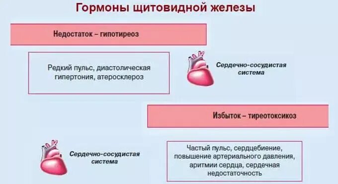 Гормоны влияющие на давление. Гормоны щитовидной железы воздействуют на. Тиреоидные гормоны влияние на давление. Влияние гормонов щитовидной железы на давление. Гипофункция тиреотропного гормона