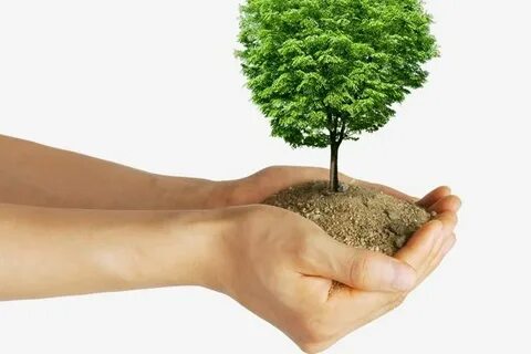 Park hand