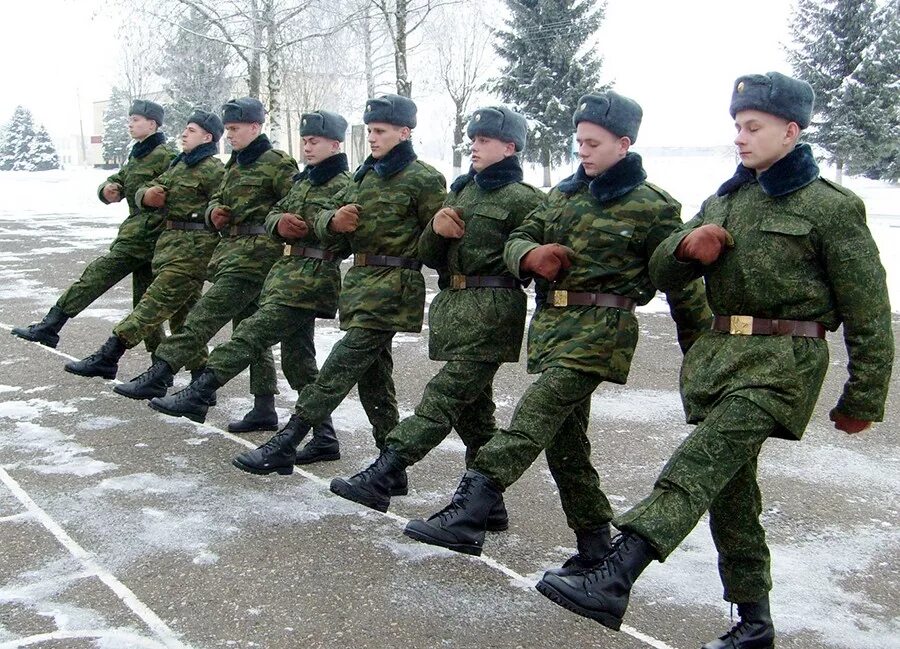 Солдаты на плацу. Солдаты в армии. Военный в строю. Армия картинки.