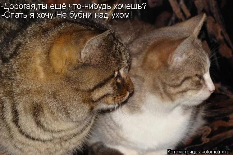 Ну какие нибудь хотя бы