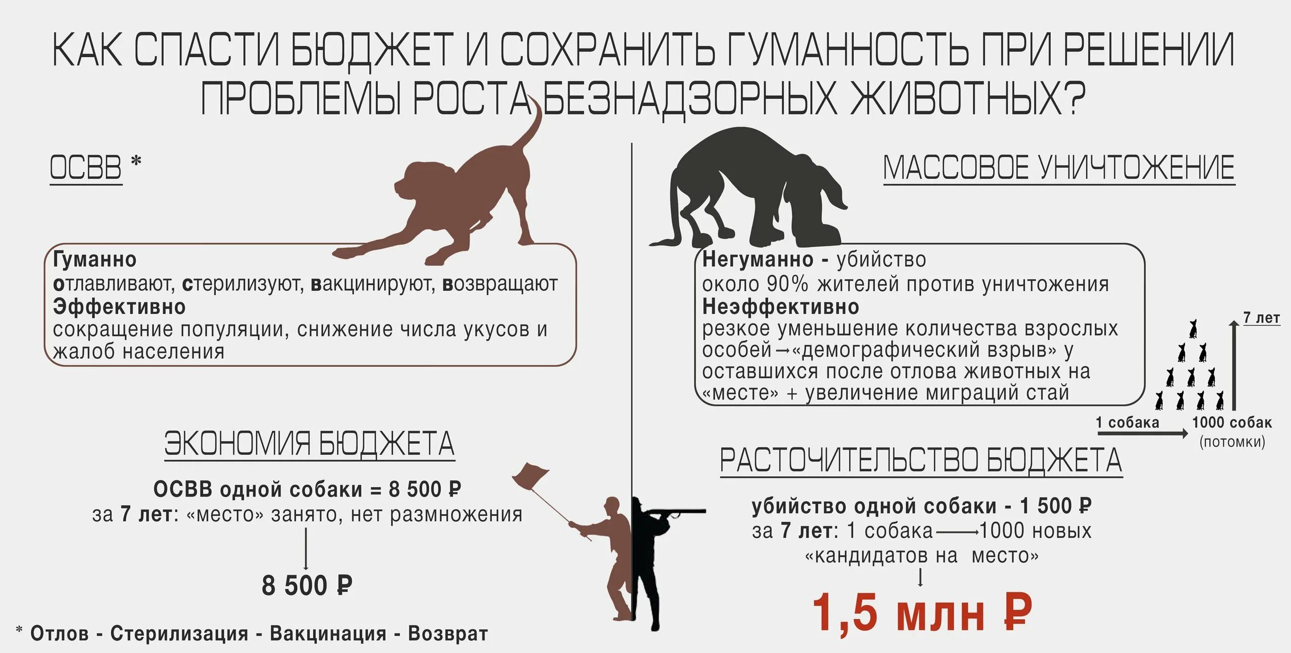 Отлов стерилизация вакцинация возврат. Отлов и стерилизация бездомных собак. Количество бездомных собак. Численность бездомных животных. Ответственное содержание животных