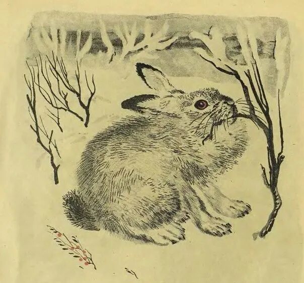 Тюпа чарушина. Герои рассказов чарушина. Чарушин иллюстратор. Чарушин тюпа. Картины евгения чарушина.