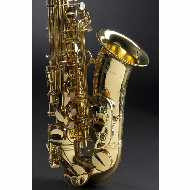 Саксофоны yanagisawa. Yanagisawa a6. yanagisawa b-wo1. yanagisawa t-wo1. yanagisawa t-3.