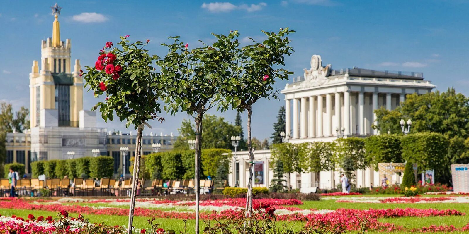 Вднх розарий 2022. Вднх москва цветы. Парк вднх москва 2022. Северный розарий вднх. Павильон природоград на вднх.