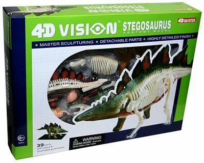 4d master