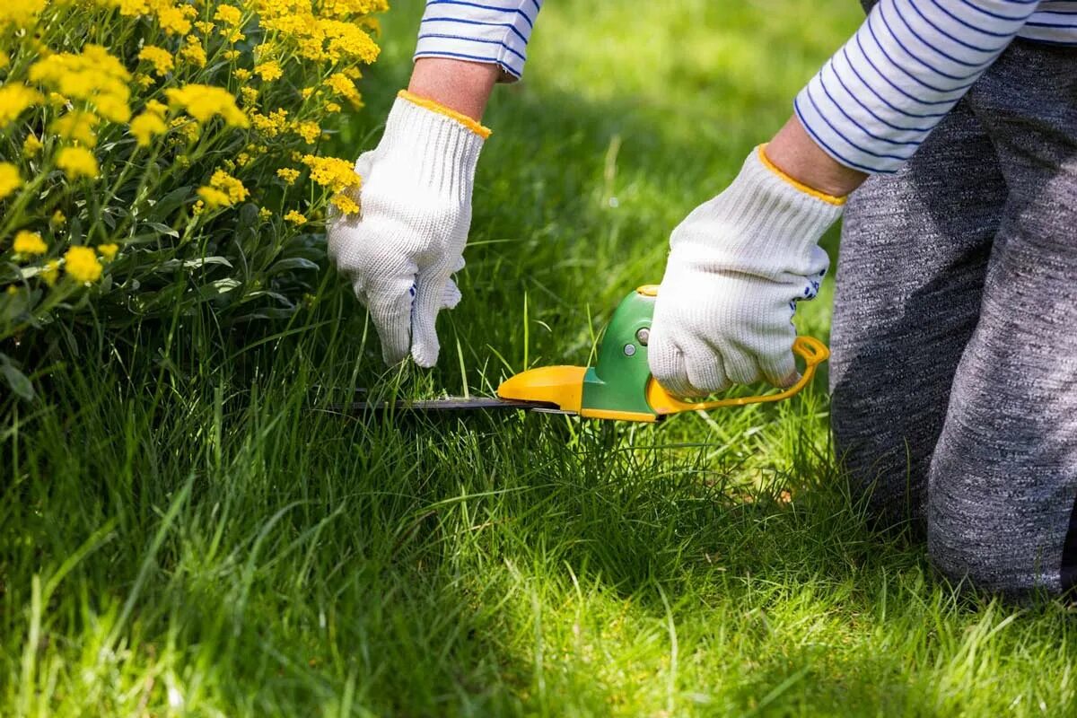 Тачки садовые в осеннем саду. Цветник в огороде. Сколько стоят работы в саду. Сад и огород. Огород ранней весной.