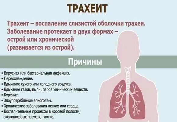 Отек при трахеите. Острый трахеит презентация. лекарства при трахеите взрослого. от бронхита и трахеита лекарства.