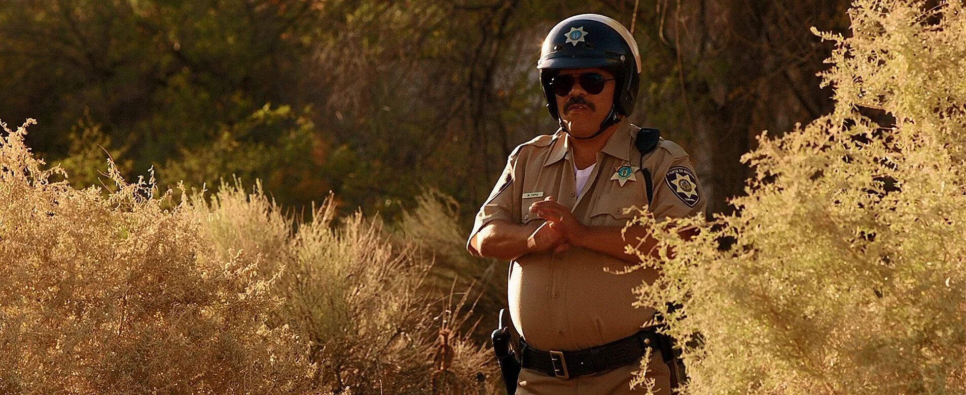 мексиканские семечки. мексиканец в кустах красноярск. карлос альберто мексиканец нарисовал трёхмерные рисунки. мексиканско американская граница. мексиканец в кустах красноярск.