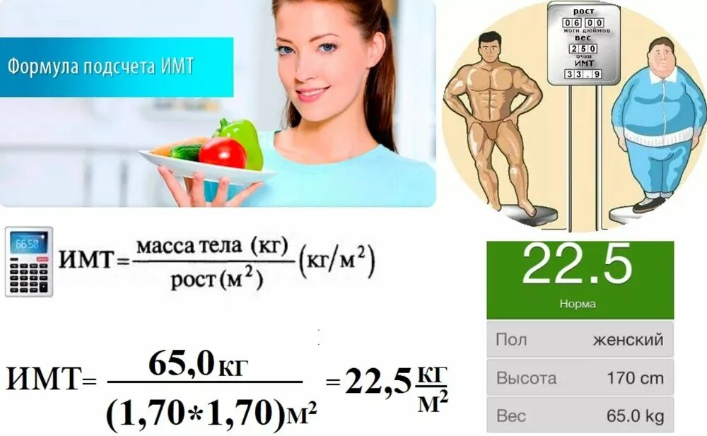 Калькулятор имт с учетом возраста и пола. Формула расчета индекса массы тела показатели имт. индекс массы тела норма для женщин формула. измерение индекса массы тела таблица. таблица имт для женщин и мужчин.