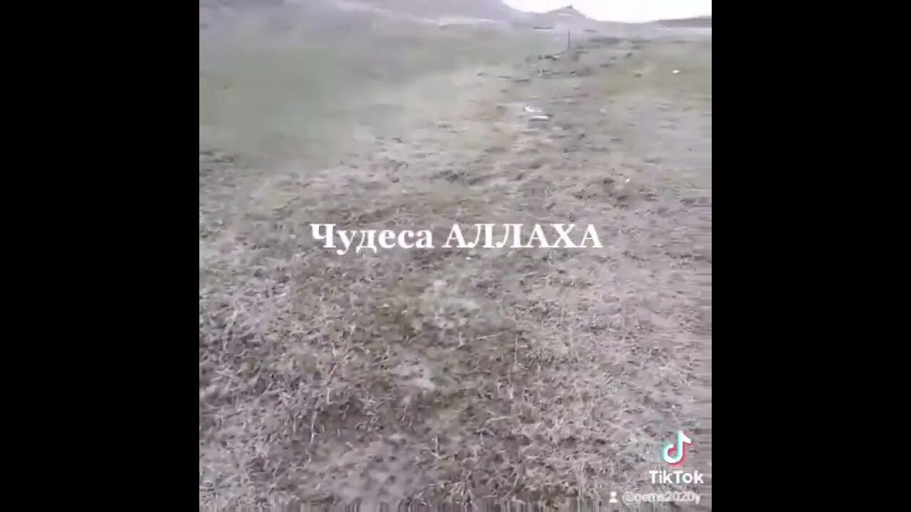 Чудеса аллаха