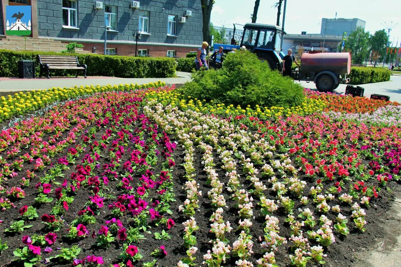 Клумба божья коровка. Лавочки орел парк горсад орел. Ландшафтная топиарная фигура орла. Зеленстрой орел топиарные фигуры. Клумба орёл парк.