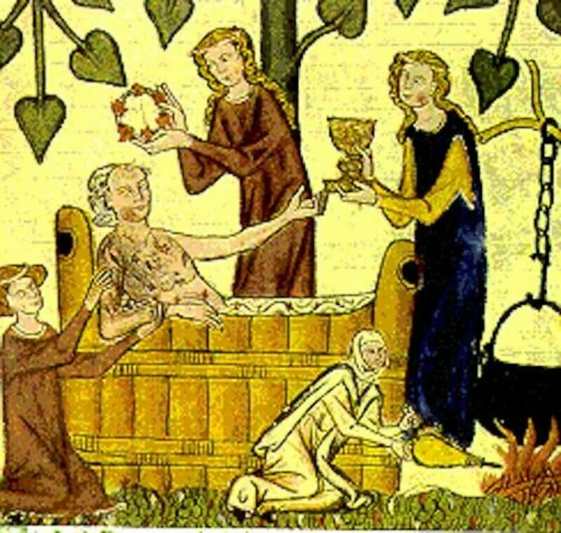 веков решится