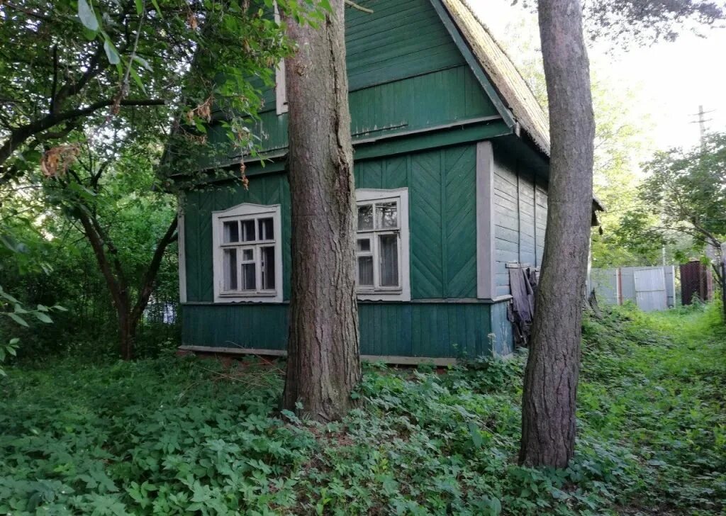 Купавна снт дача. Бабкина дача старая купавна. садовое товарищество купавна. снт чайка купавна. снт биолог купавна.