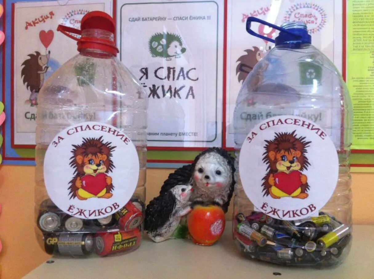 Акция спасем ежика батарейки. Акция сдай батарейку спаси ежика. акция спасем ежика. акция сдай батарейку спаси ежика в детском саду. акция спаси ежика.