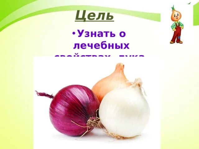 Лук от семи недуг значение. Лук от семи недуг значение