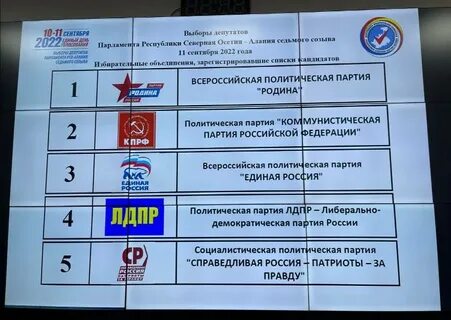 Выборы депутатов партии