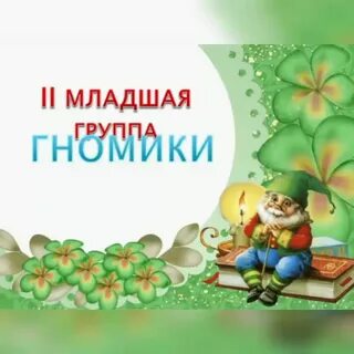 Младшая группа гномики