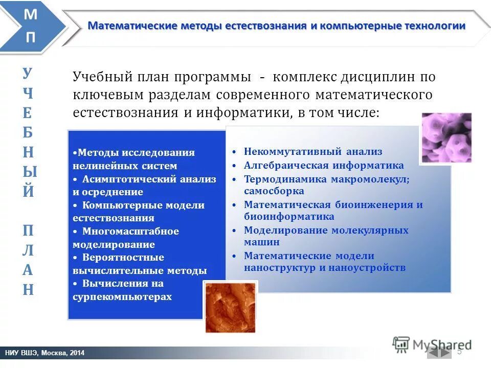 структура современного естествознания. современное естествознание. технологии современного естествознания. концепция современного естествознания учебник для вузов. структура современного естествознания.